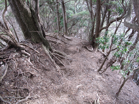20170113hike (258)